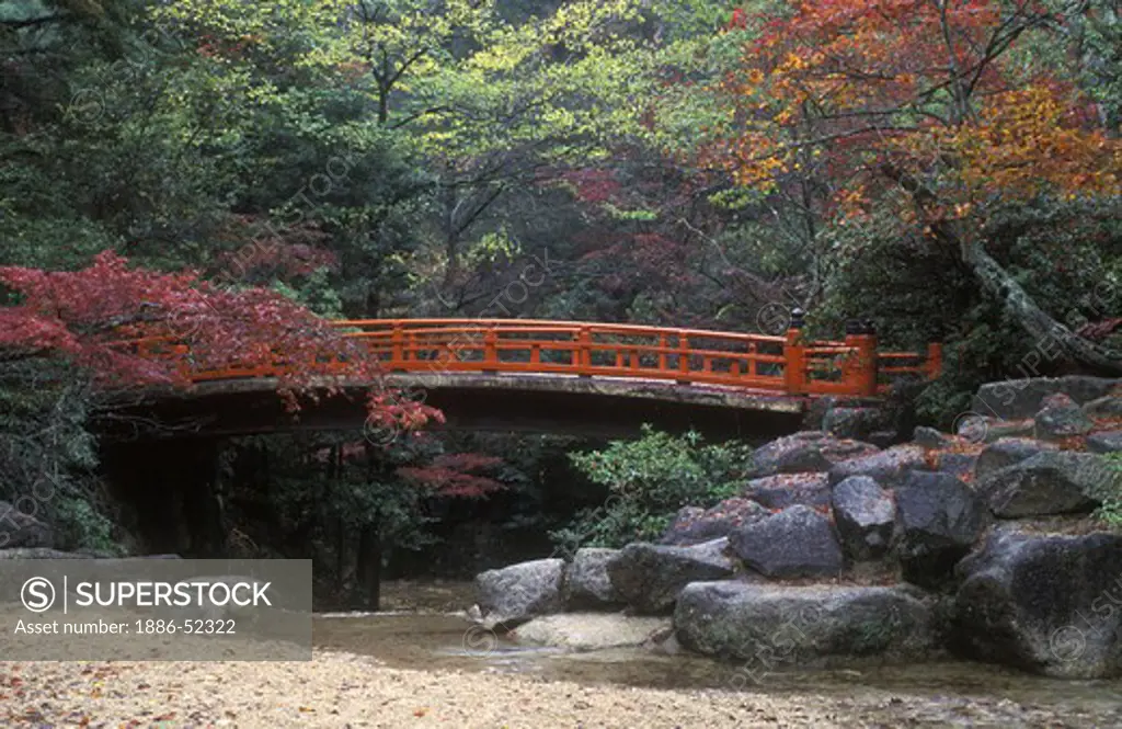 JAPANESE RED MAPLE & Straditional FOOT BRIDGE in MOMIJIDANI PARK - MIYA JIMA ISLAND, JAPAN