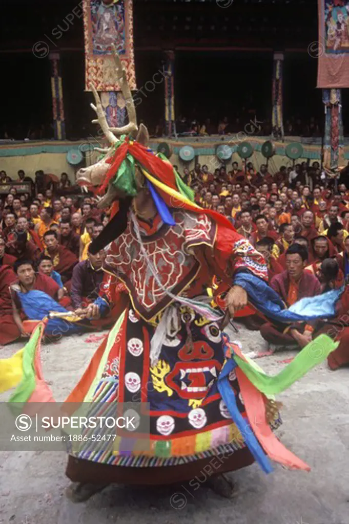 Masked stag dancer representing the animal world at the Monlam Chenmo, Katok Monastery - Kham, (Tibet), Sichuan, China
