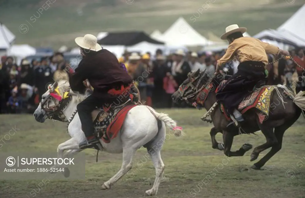 Khampas entertain the crowd by racing at the Litang Horse Festival starting August 1st - Sichuan Province, China, (Tibet)