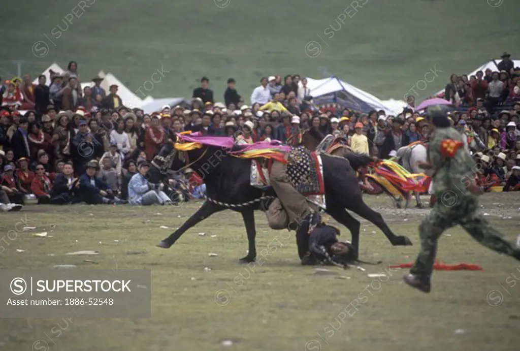 Khampas show horsemanship by touching the ground at the Litang Horse Festival  - Sichuan Province, China, (Tibet)