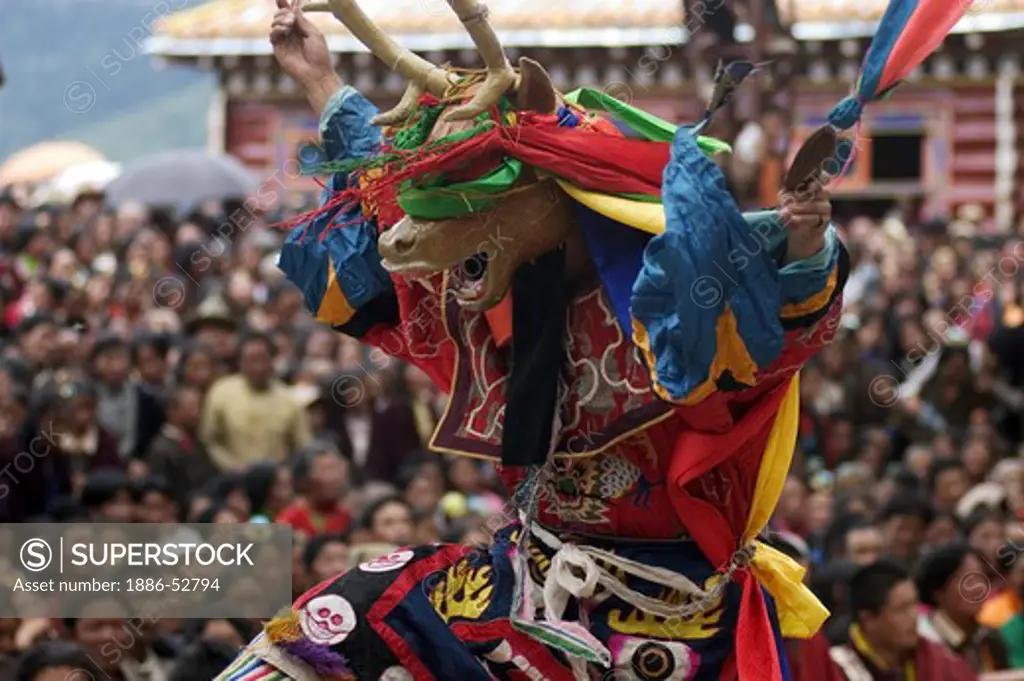 Deer dancer represents the animal world at the Monlam Chenpo, Katok Dorjeden Monastery - Kham, (Tibet), Sichuan, China