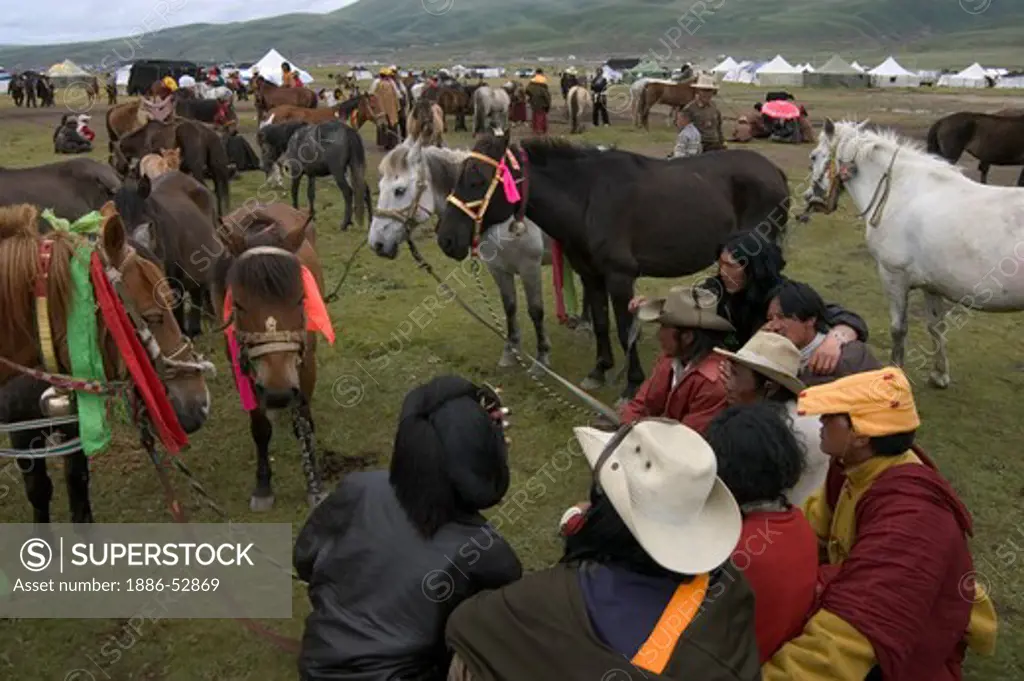Khampa man look at horses in the livestock trading area at the Litang Horse Festival - Sichuan Province, China, (Eastern, Tibet)
