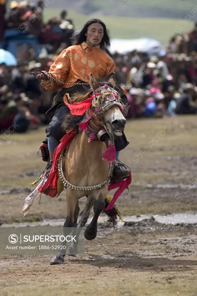 A Khampa participates in the dressage competition at the Litang Horse Festival in Kham - Sichuan Province, China, (Tibet)