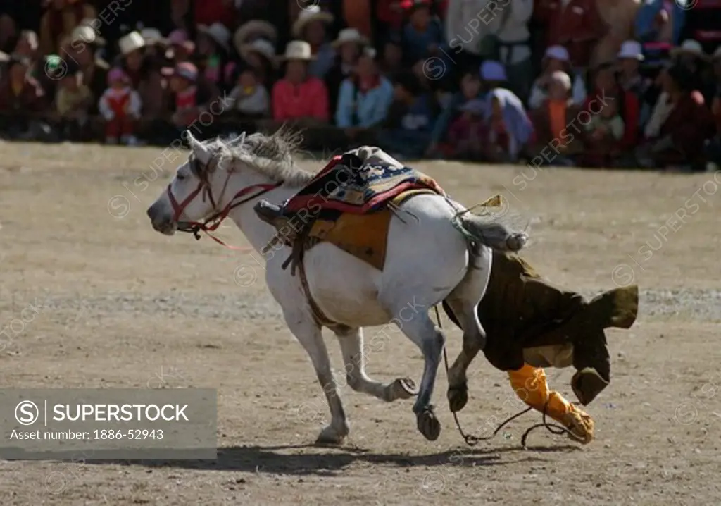 A Khampa demonstrates horsemanship by  touching  the ground, Litang Horse Festival - Kham, Sichuan Province, China, (Tibet)