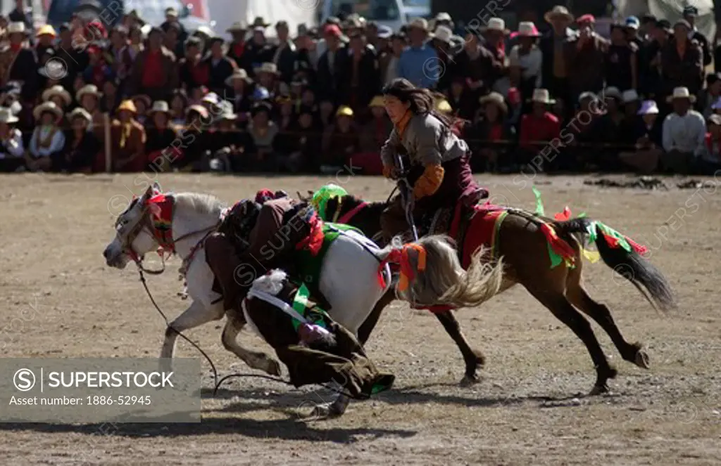 Khampas demonstrate horsemanship by  touching  the ground, Litang Horse Festival - Kham, Sichuan Province, China, (Tibet)