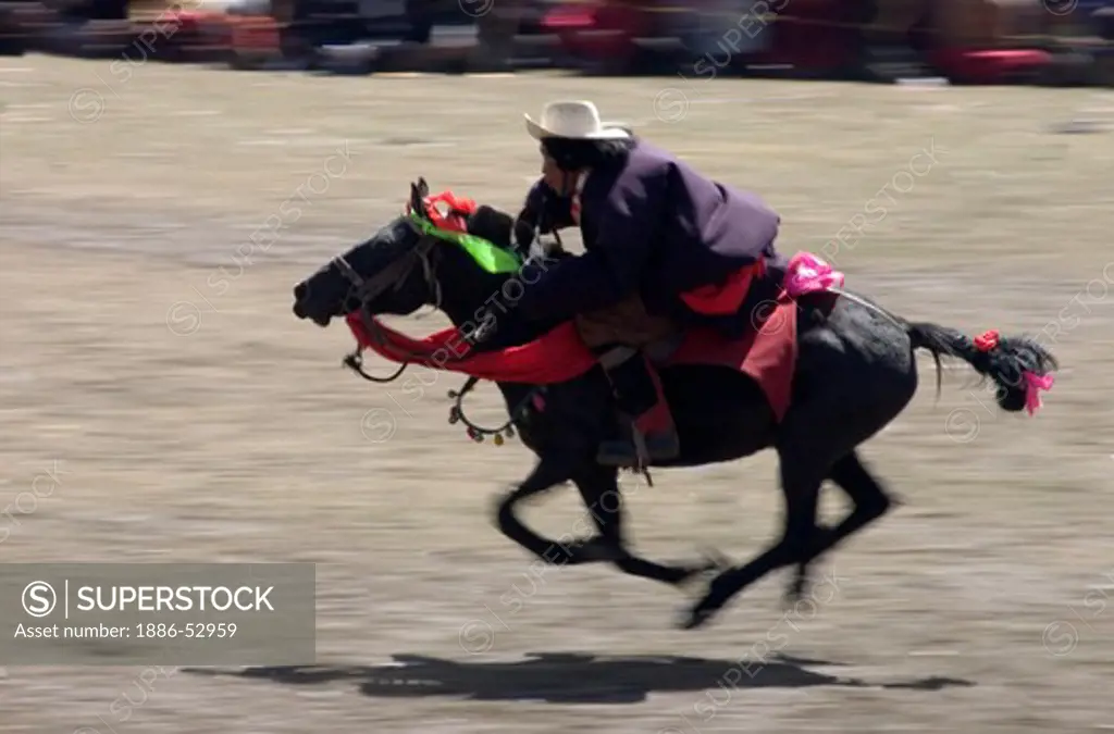 Khampa entertain the crowd in a rowdy horse race at the Litang Horse Festival - Kham, Sichuan Province, China, (Tibet)