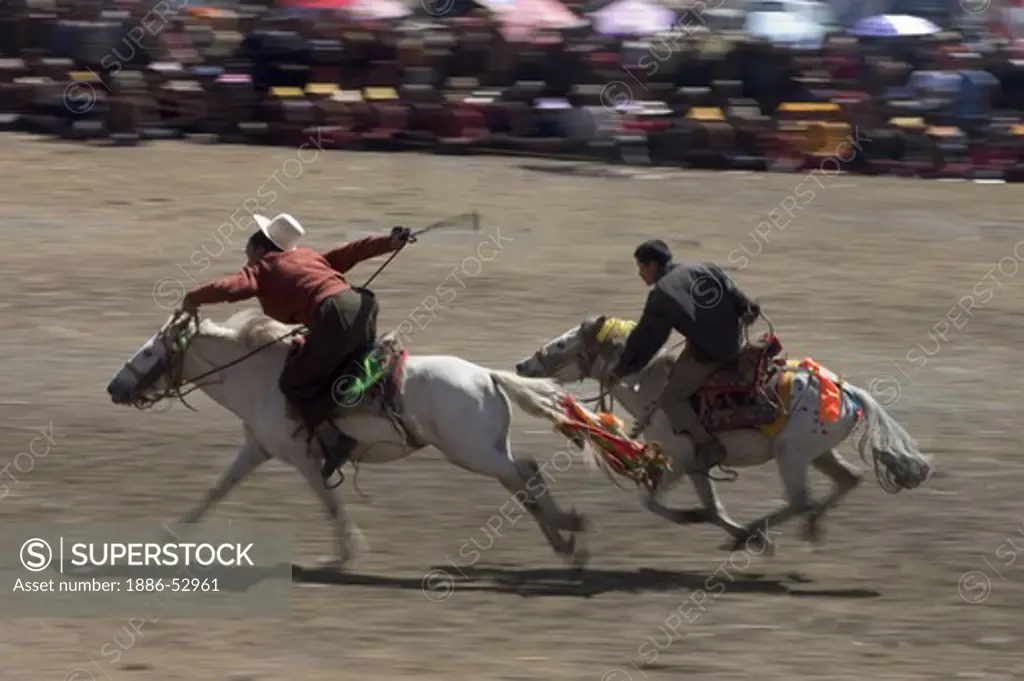 Khampa entertain the crowd in a rowdy horse race at the Litang Horse Festival - Kham, Sichuan Province, China, (Tibet)