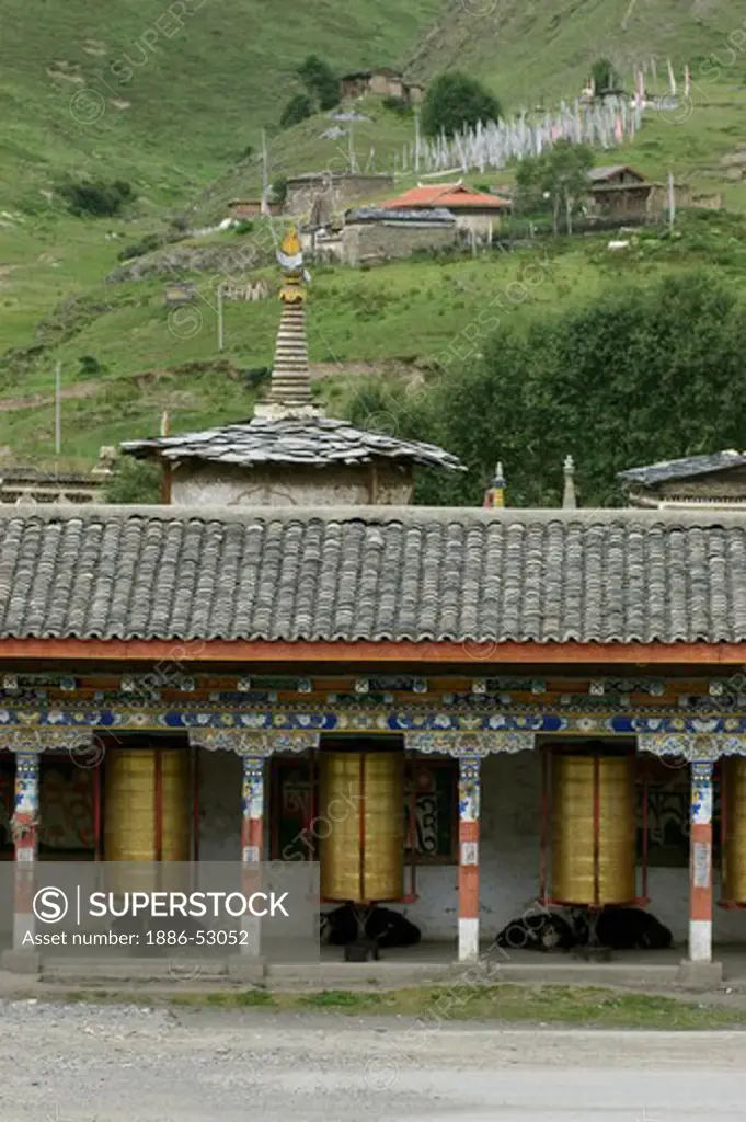 Giant prayer wheels and yaks at the Buddhist Monastery of Tagong (Lhagang) - Kham, Sichuan Province, China, (Tibet)