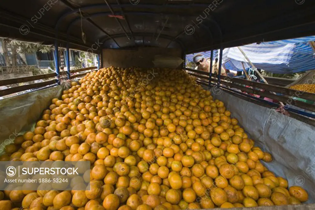 Oranges come to market in the back of a pick-up truck - LUANG PROBANG, LAOS