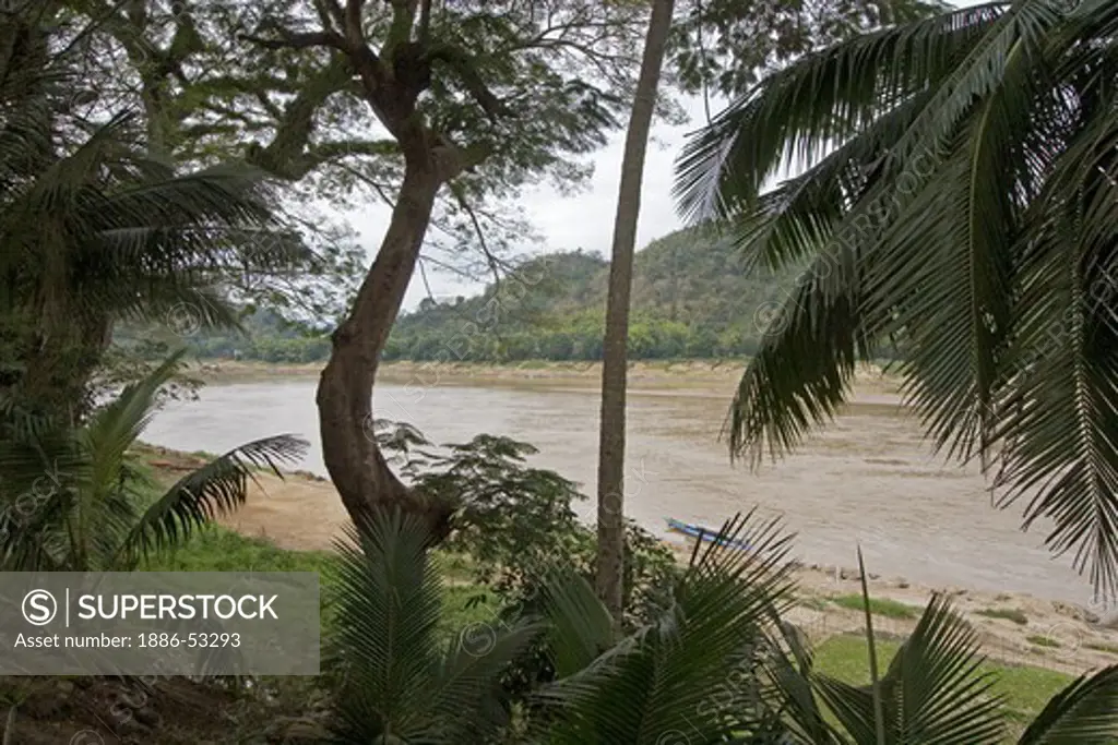 Trees hang over the Mekong River as it winds through the once French Provincial town of LUANG PROBANG - LAOS