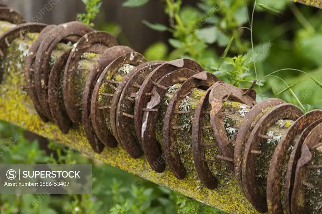 Rusty old horse shoes sit on a ranch fence covered with lichen