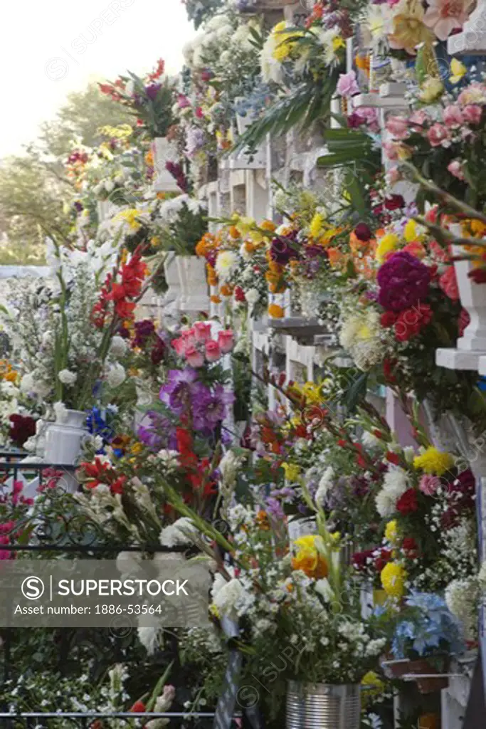 FLOWER COVERED GRAVES at the local cemetery during the DEAD OF THE DEAD - SAN MIGUEL DE ALLENDE, MEXICO