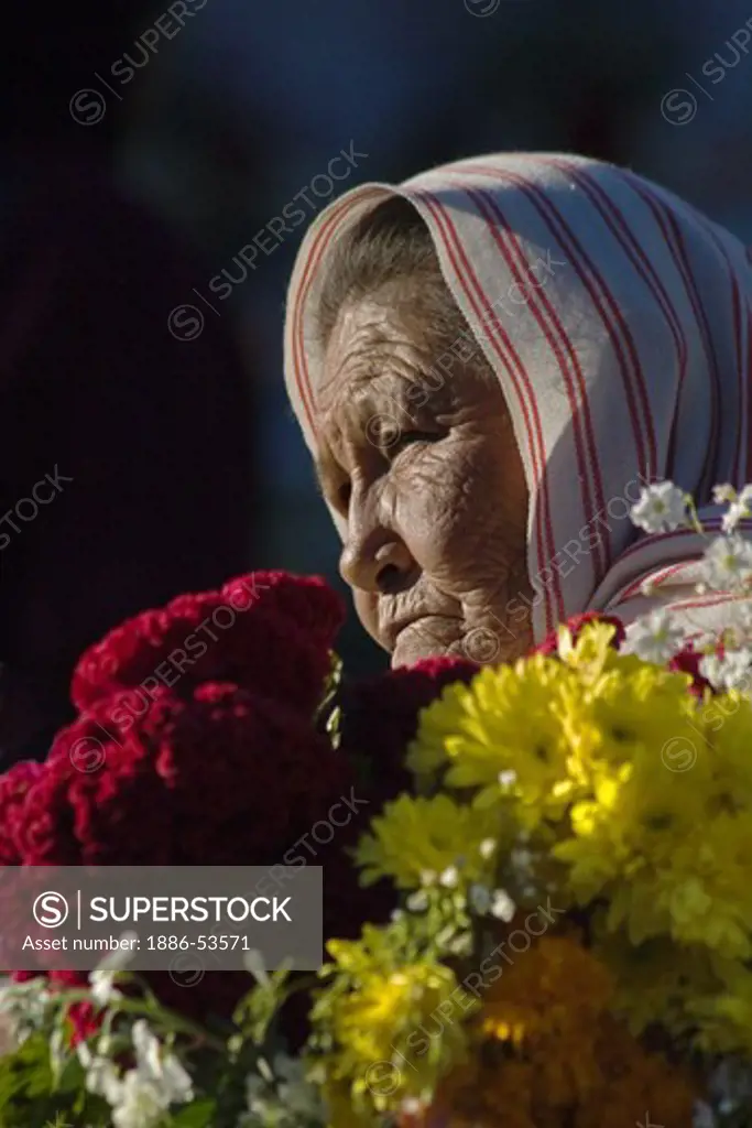 A MEXICAN grandmother brings flowers to the cemetery during the DEAD OF THE DEAD - SAN MIGUEL DE ALLENDE, MEXICO