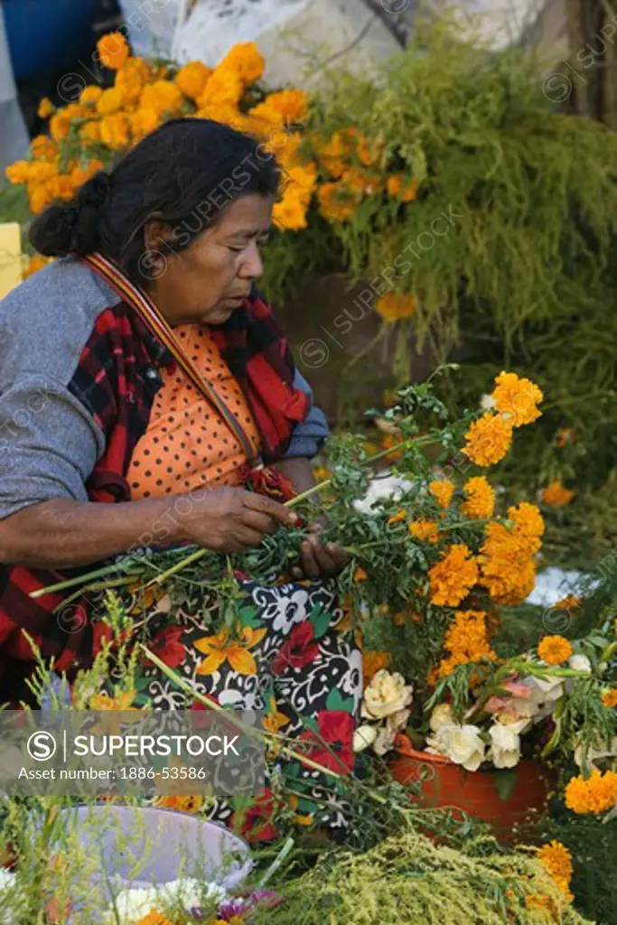 A MEXICAN WOMAN sells carnations during the DAY OF THE DEAD - SAN MIGUEL DE ALLENDE, MEXICO
