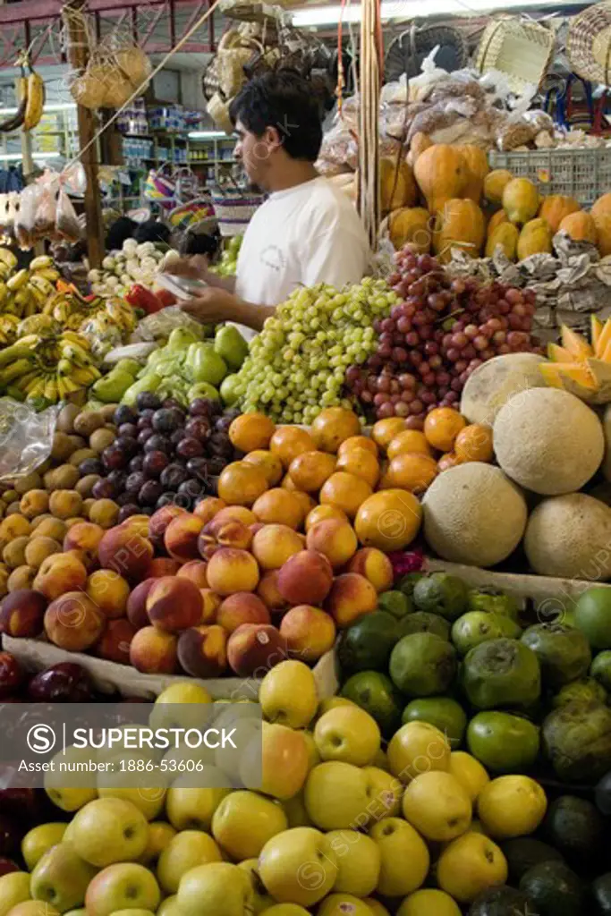 A fruit stand selling apples, cantaloupe, oranges, papaya, grapes, plums, bananas and peaches in the CENTRAL COVERED MARKET  -  GUANAJUATO, MEXICO