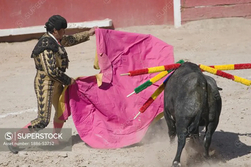 A MATADOR fights a bull in the Plaza de Toros - SAN MIGUEL DE ALLENDE, MEXICO