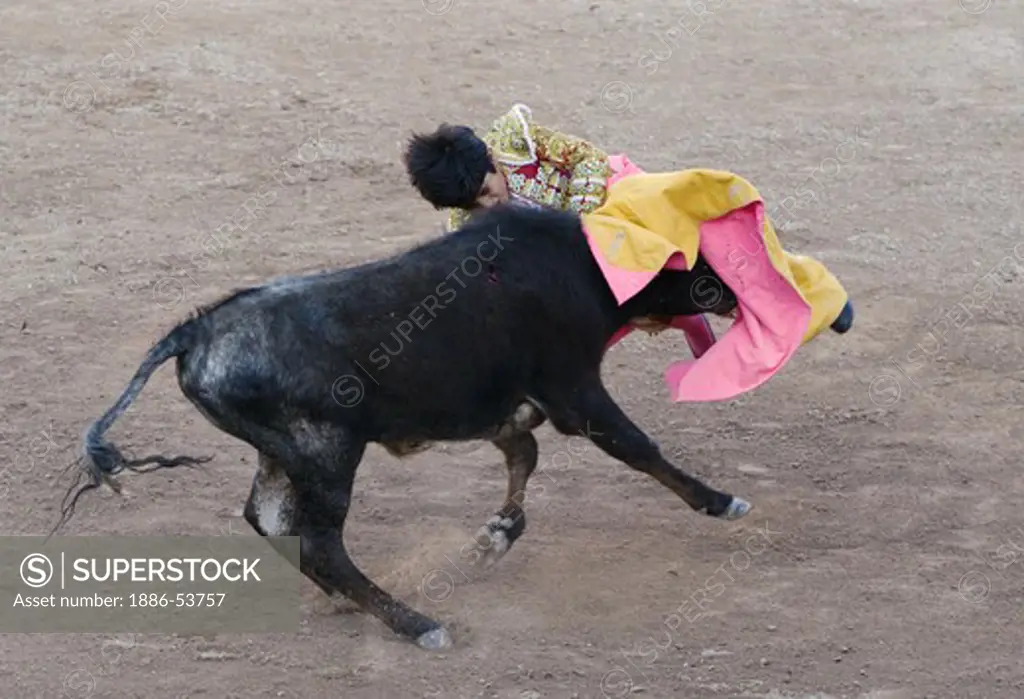 The 9 year old child matador RAFITA MIRABAL gets hit by a bull in the Plaza de Toros - SAN MIGUEL DE ALLENDE, MEXICO