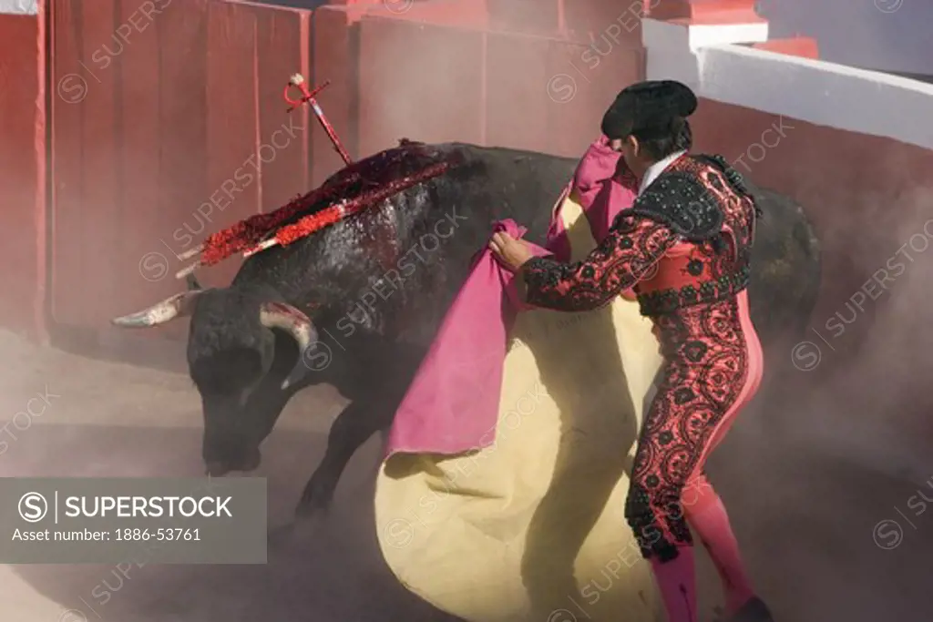 A matador fights a bull in the Plaza de Toros - SAN MIGUEL DE ALLENDE, MEXICO