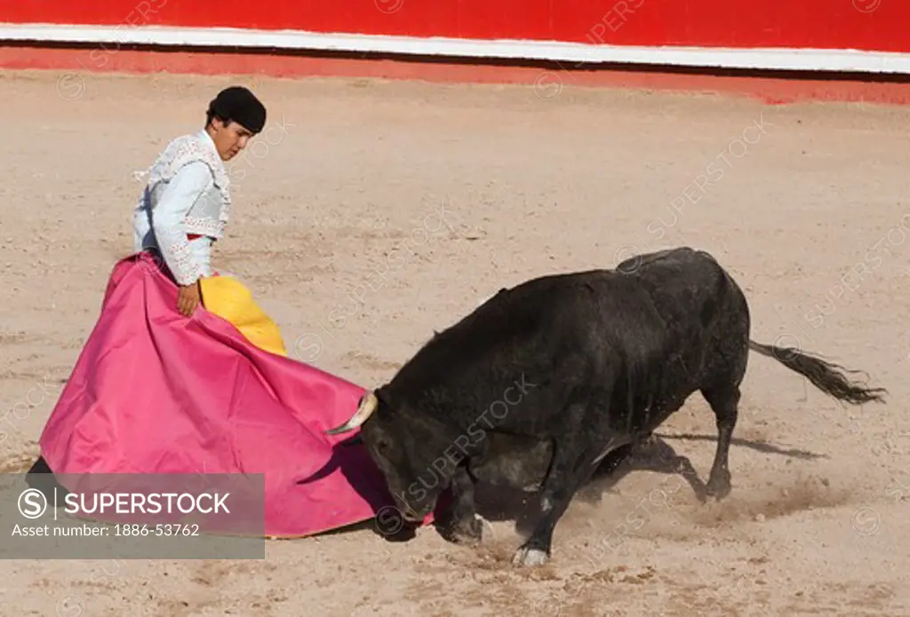 The matador JUAN CHAVEZ fights a bull in the Plaza de Toros - SAN MIGUEL DE ALLENDE, MEXICO