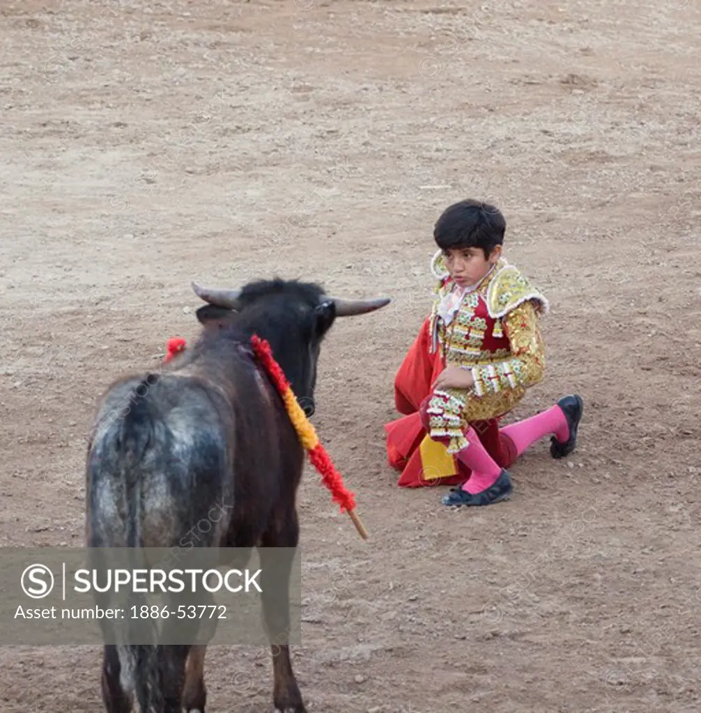The 9 year old child matador RAFITA MIRABAL fights a bull in the Plaza de Toros - SAN MIGUEL DE ALLENDE, MEXICO