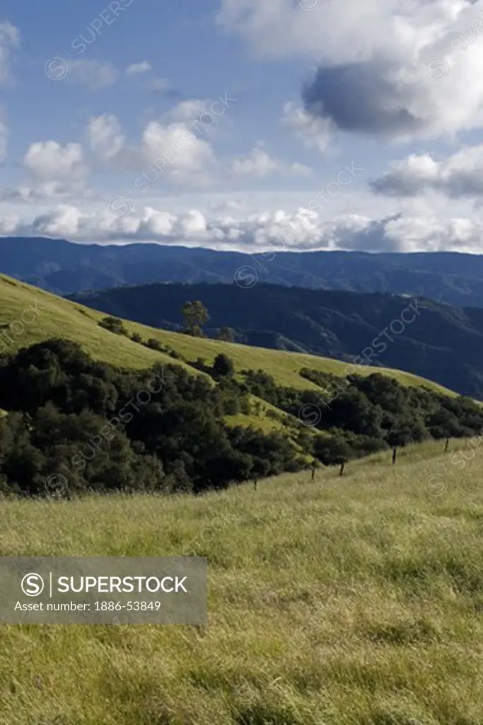 Rich pasture from spring rains grows in Carmel Valley in the Coastal Mountain Range on a California cattle ranch.