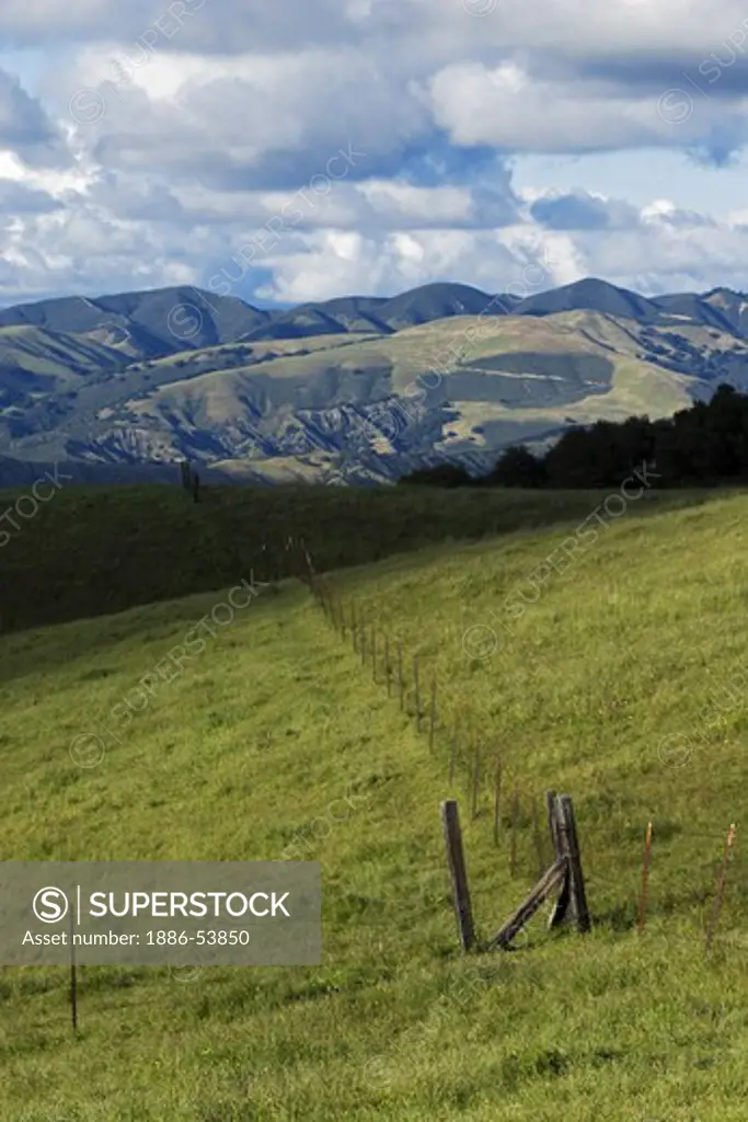 Rich pasture from spring rains grows in Carmel Valley in the Coastal Mountain Range on a California cattle ranch.