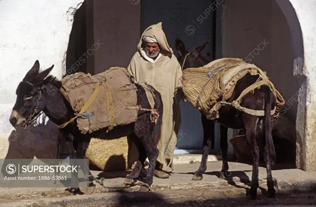 MOROCCAN with his loaded MULES in the town of CHECHAOUEN in the RIF MOUNTAINS of northern MOROCCO