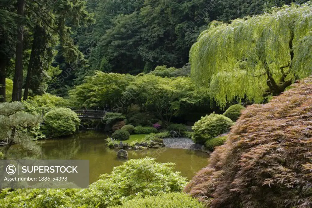A pond at the Portland Japanese garden, considered the most authentic outside of Japan - PORTLAND, OREGON