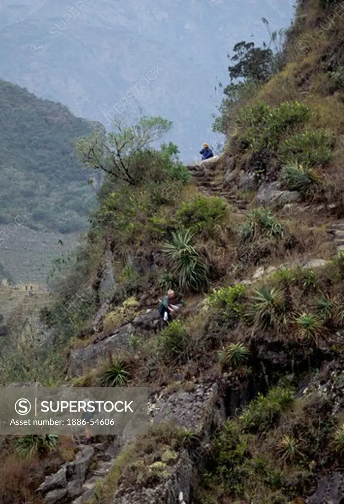 The trail to HUAYNA PICCHU is steep, but the view is well worth the climb - MACHU PICCHU RUINS, PERU