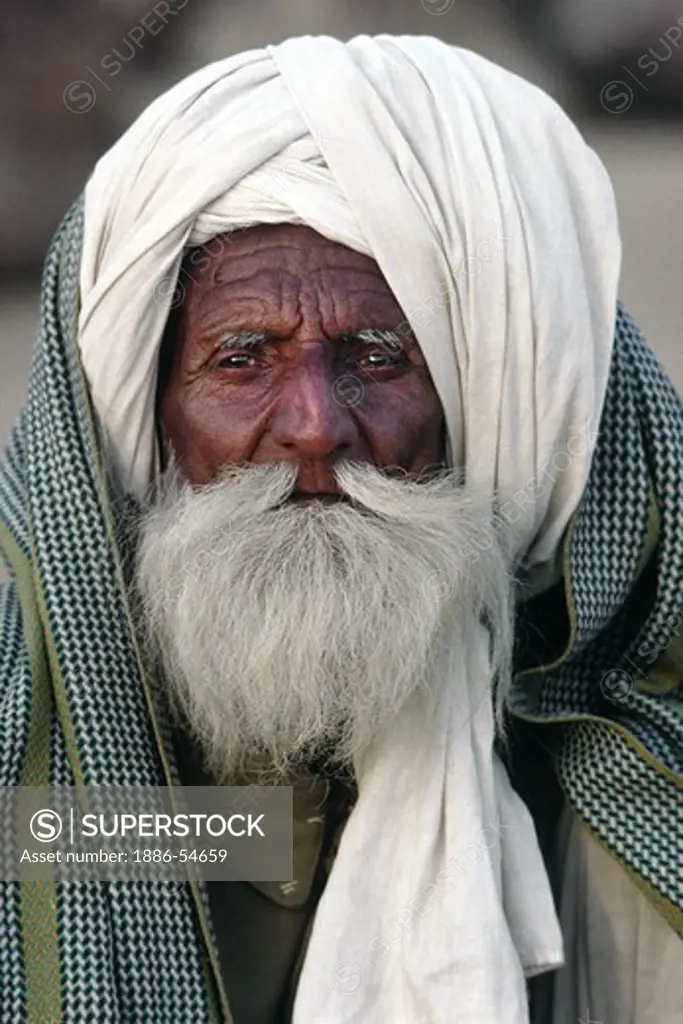 RAJASTHANI CAMEL TRADER wearing a traditional WHITE TURBAN (head wrap) at the PUSHKAR CAMEL FAIR - RAJASTHAN, INDIA