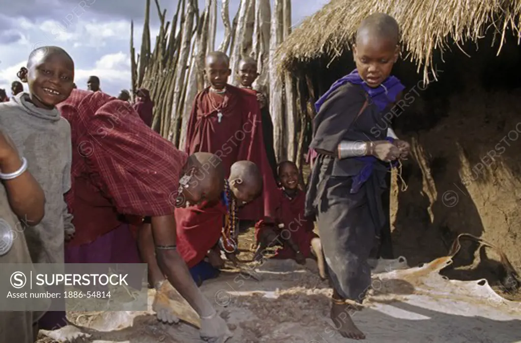 A MASSAI woman scrapes a cowhide surrounded by village children - NGORONGORO CRATER, TANZANIA