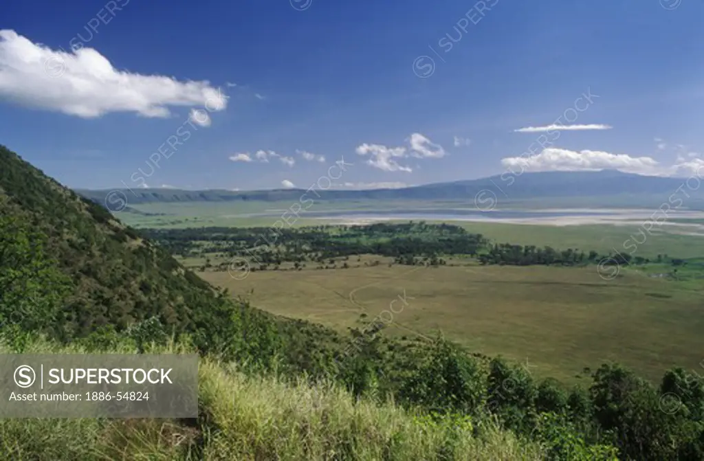 The floor of NGORONGORO CRATER CONSERVATION AREA is 105 square miles & contains 35,000 animals including Rhino, Lion, Zebra & Hippo -  TANZANIA