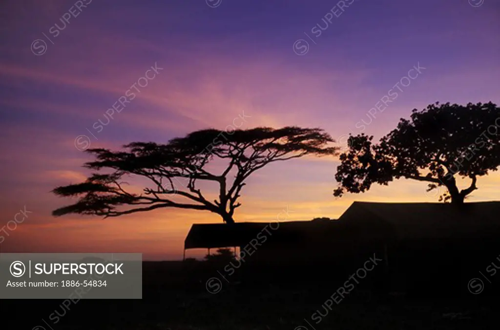 SUNRISE at LOLIANDO TENT CAMP - SERENGETI NATIONAL PARK, TANZANIA