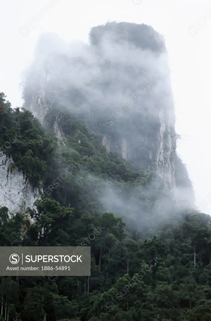 RAIN FOREST clings to LIMESTONE CLIFFS in KHAO SOK NATIONAL PARK - THAILAND