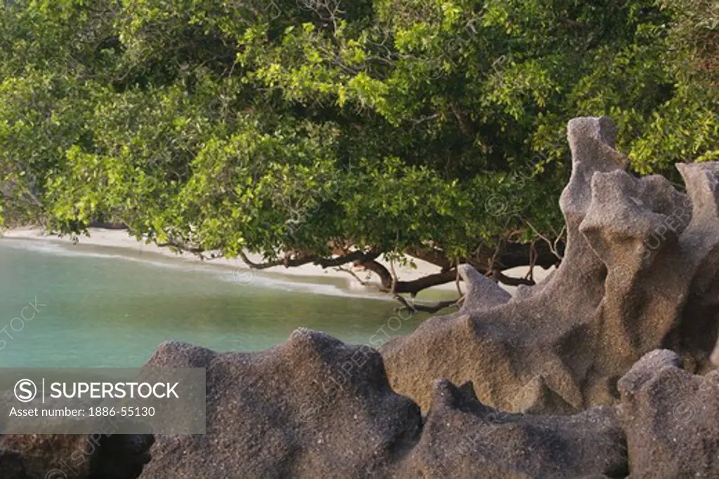 Stone, beach and tropical forest on Ko Surin Nuea Island in Mu Ko Surin National Park -  ANDAMAN SEA, THAILAND