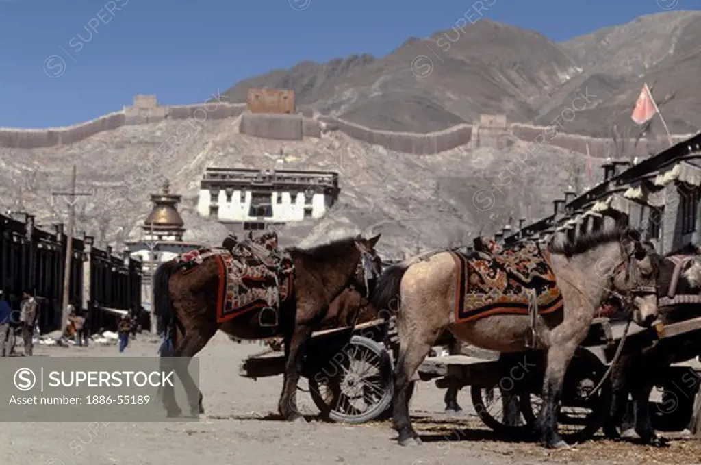 Gyantse's main street with Tibetan ponies & carts & people - Tibet.