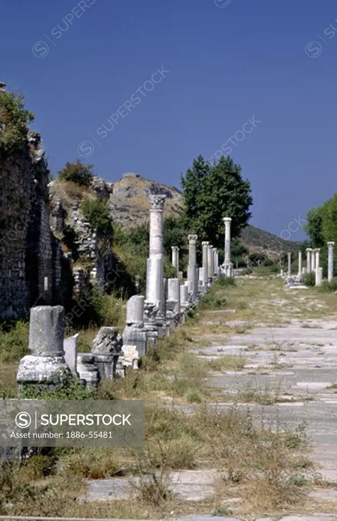 Marble Way at EHESUS (One of the world's largest Greek/Roman archeological sights) - TURKEY