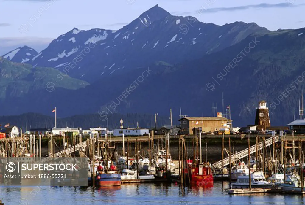 FISHING BOATS and YACHTS at anchor in the HARBOR below the PIER - HOMER, ALASKA