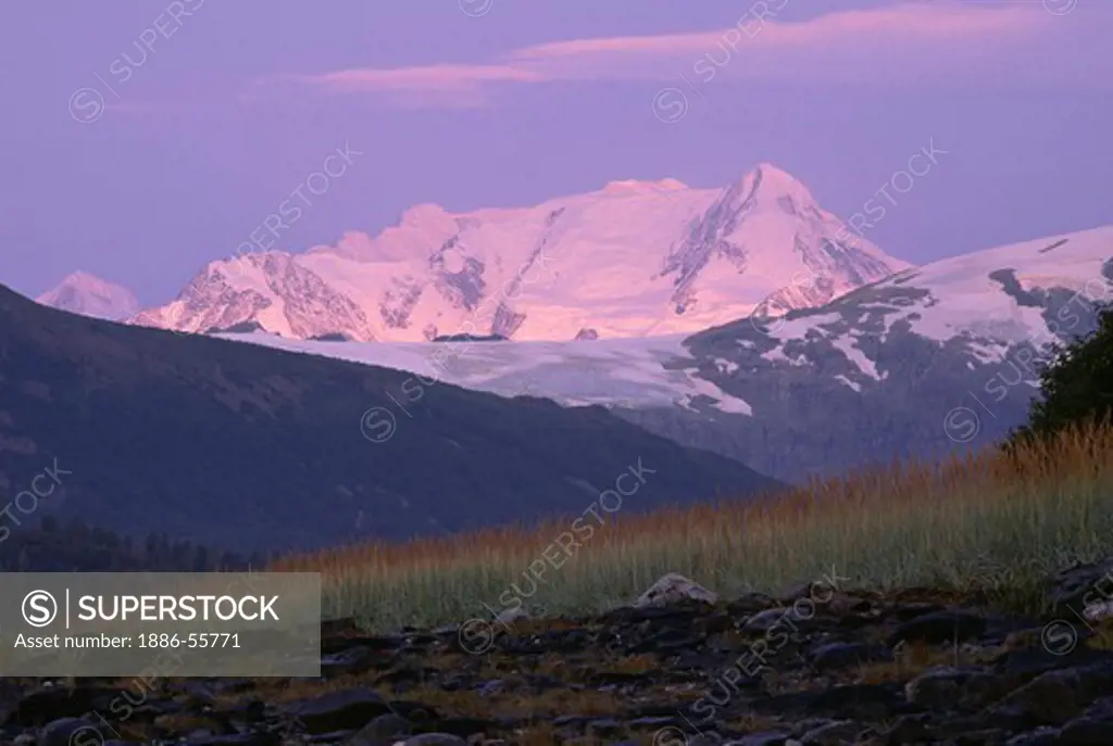 A rainbow of grass in the foreground of MT. CRILLION - GLACIER BAY NATIONAL PARK, ALASKA