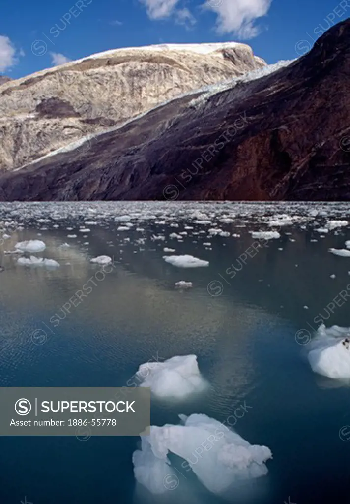 The clear, cold water of GLACIER BAY NATIONAL PARK - ALASKA