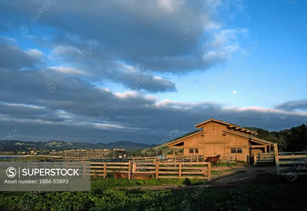 Full MOON sets over horse barn on the RILEY RANCH across from Point Lobos  - CALIFORNIA