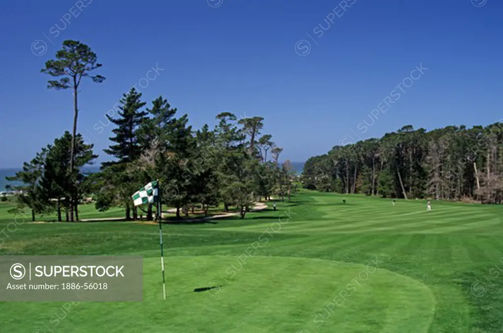 The GREEN at the SIXTH HOLE of SPYGLASS Golf Course at PEBBLE BEACH on the MONTEREY PENINSULA - CALIFORNIA