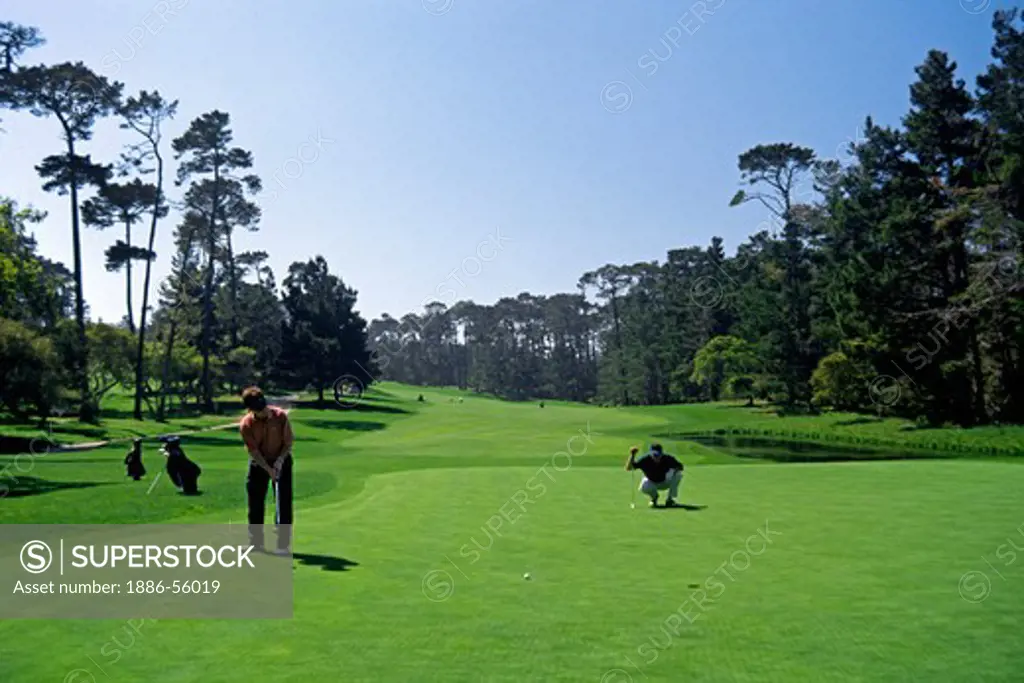PUTTING on the GREEN at the EIGHTH HOLE of SPYGLASS Golf Course at PEBBLE BEACH on the MONTEREY PENINSULA - CALIFORNIA (MR)