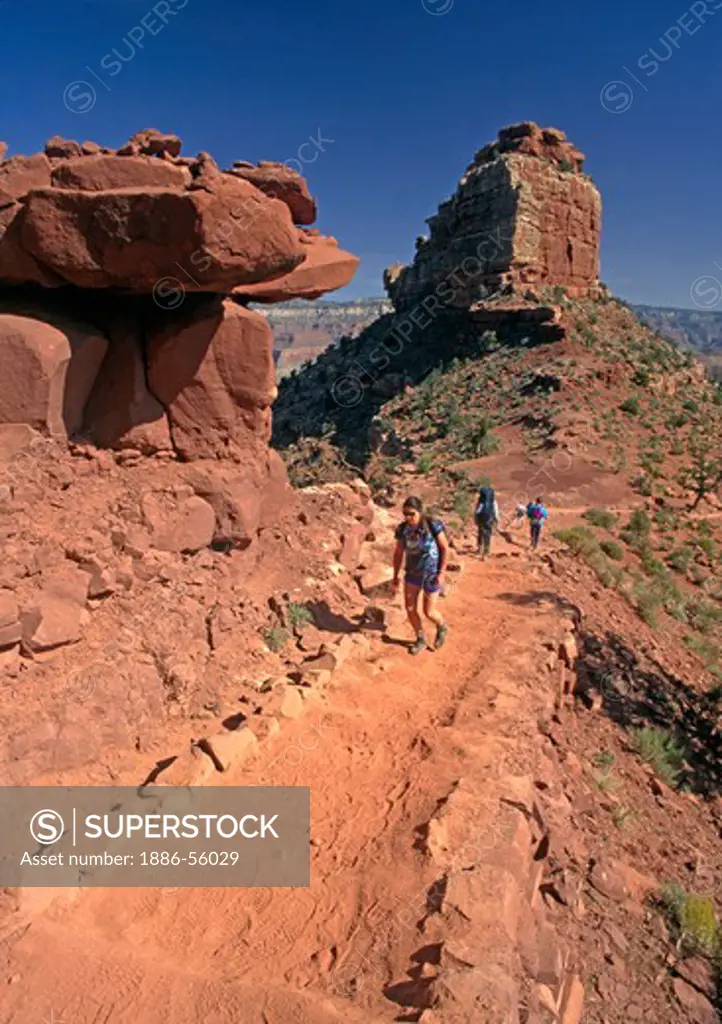 Hikers along the KAIBAB TRAIL are dwarfed by O'NIELL BUTTE - GRAND CANYON NATIONAL PARK, ARIZONA (MR)