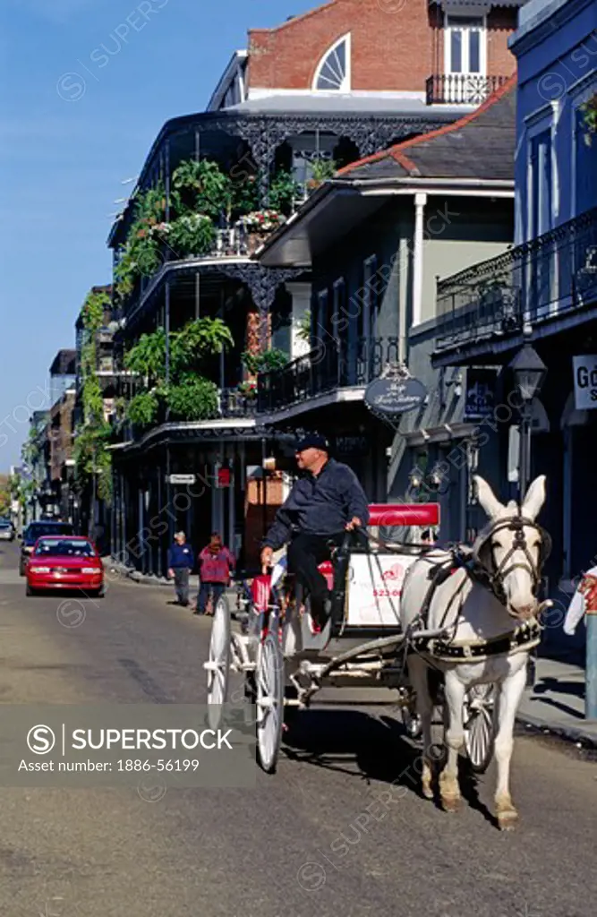 HORSE and BUGGY rides add a sense of history - FRENCH QUARTER, NEW ORLEANS, LOUISIANA