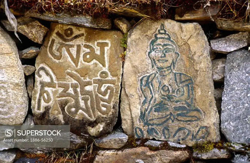 Carved MANI STONES & BUDDHA at YANGLE KHARKA in the MAKALU BARUN NATIONAL PARK,  NEPAL