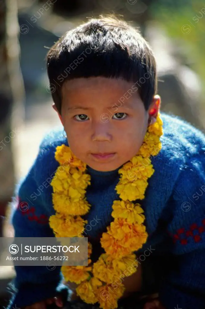 A RAI boy celebrates BAI TIKA (BROTHER PUJA) during TIHAR on the return journey from MAKALU - NEPAL