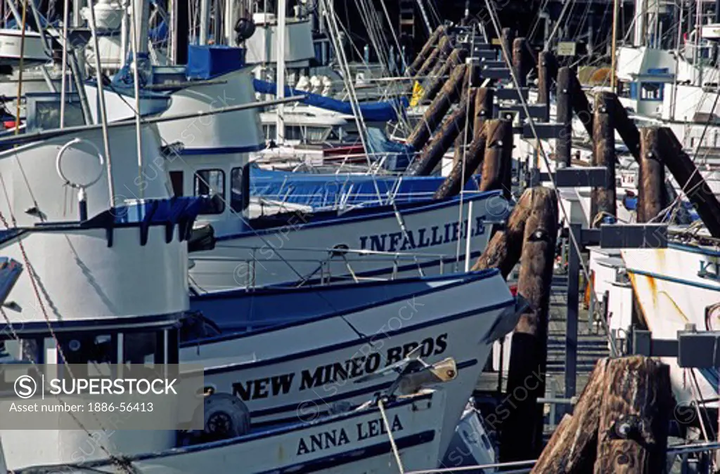 FISHING BOATS are docked in their slips at MONTEREY HARBOR - CALIFORNIA