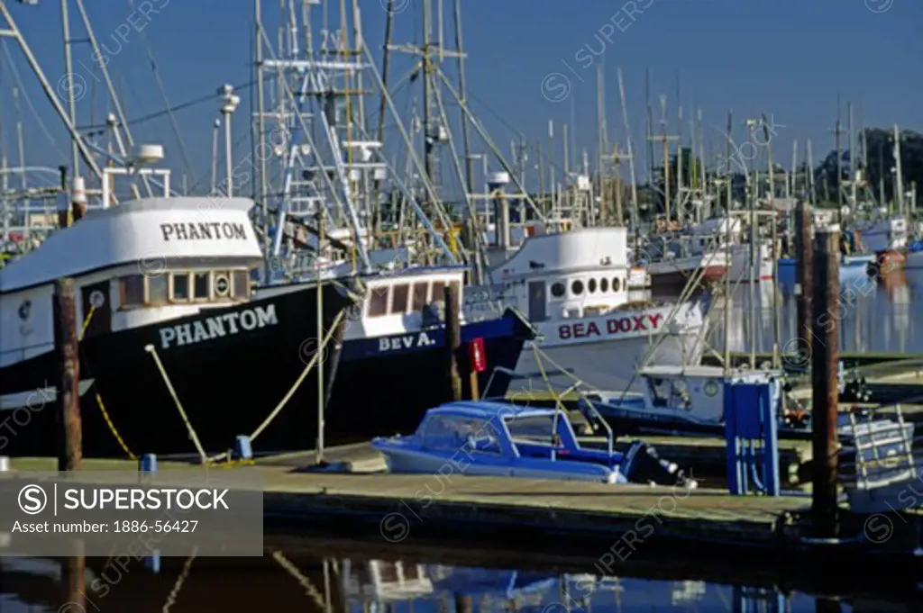 COMMERCIAL FISHING BOATS are docked at harbor - MOSS LANDING, CALIFORNIA