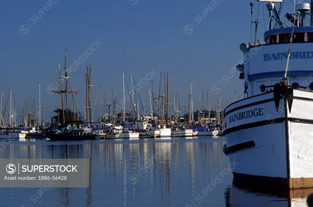 The fishing trawler BAINBRIDGE at dock - MOSS LANDING, CALIFORNIA